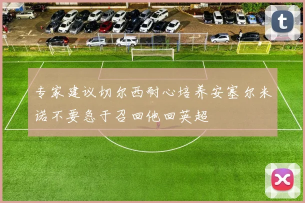 专家建议切尔西耐心培养安塞尔米诺不要急于召回他回英超