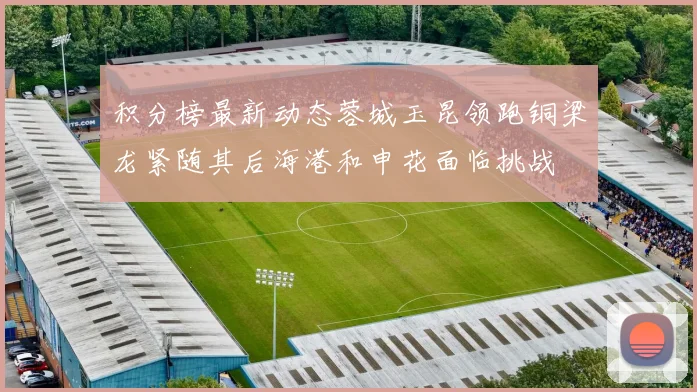 积分榜最新动态蓉城玉昆领跑铜梁龙紧随其后海港和申花面临挑战