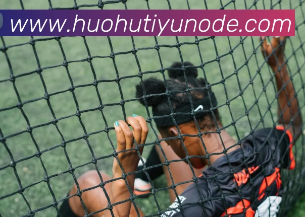 火狐体育发展历程